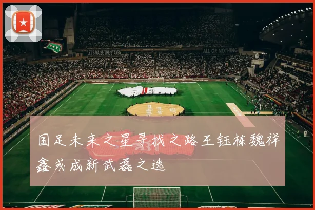 国足未来之星寻找之路王钰栋魏祥鑫或成新武磊之选