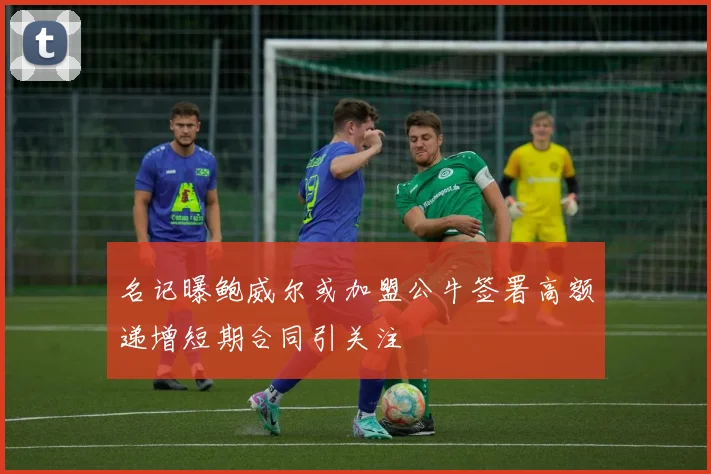 名记曝鲍威尔或加盟公牛签署高额递增短期合同引关注